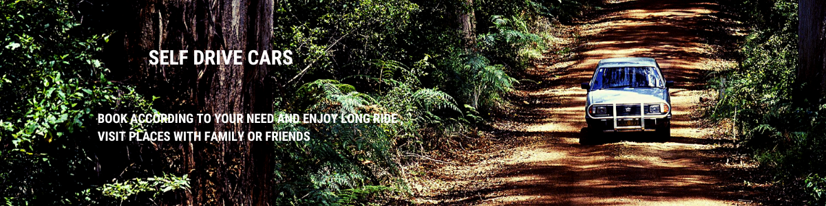 banner img